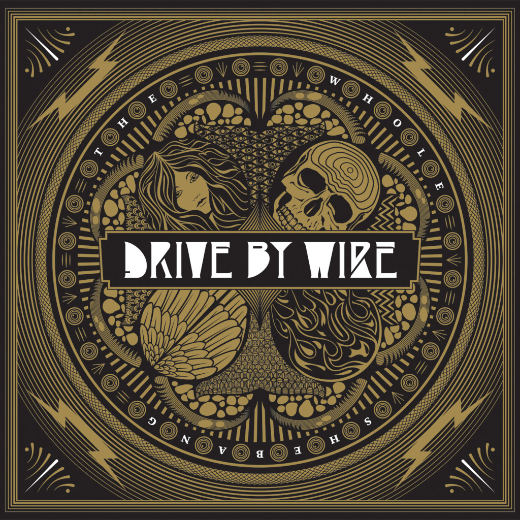 drive cover